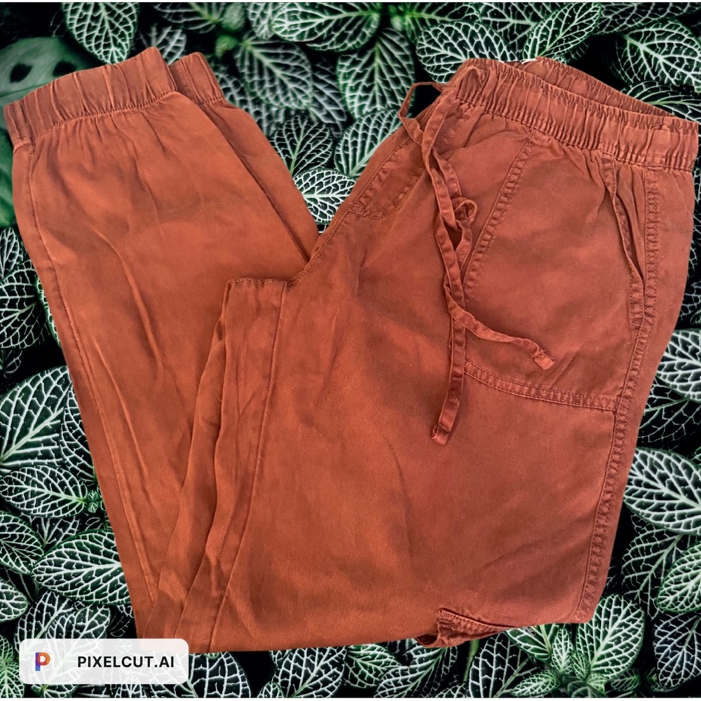 C & C California cargo joggers in a lovely burnt orange color.
